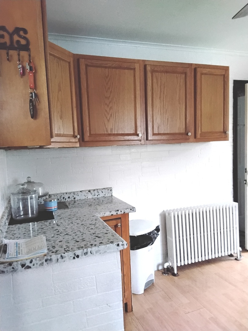 10816 Princess Avenue, Chicago Ridge, IL 60415