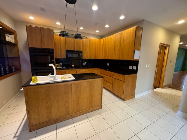 3309 S Lowe Avenue, Chicago, IL 60616