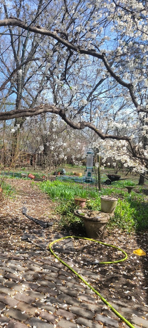 6921 Clarendon Hills Road, Darien, IL 60561