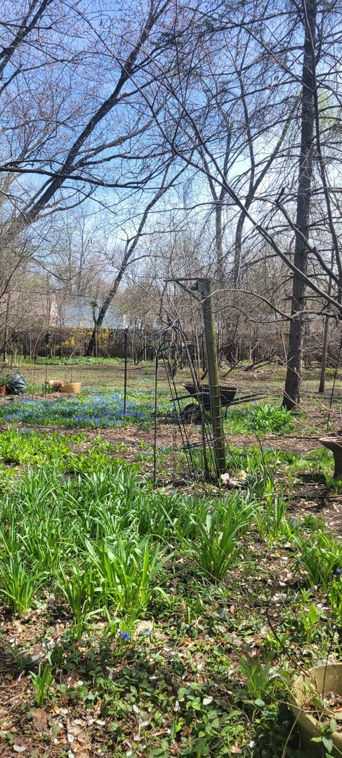 6921 Clarendon Hills Road, Darien, IL 60561