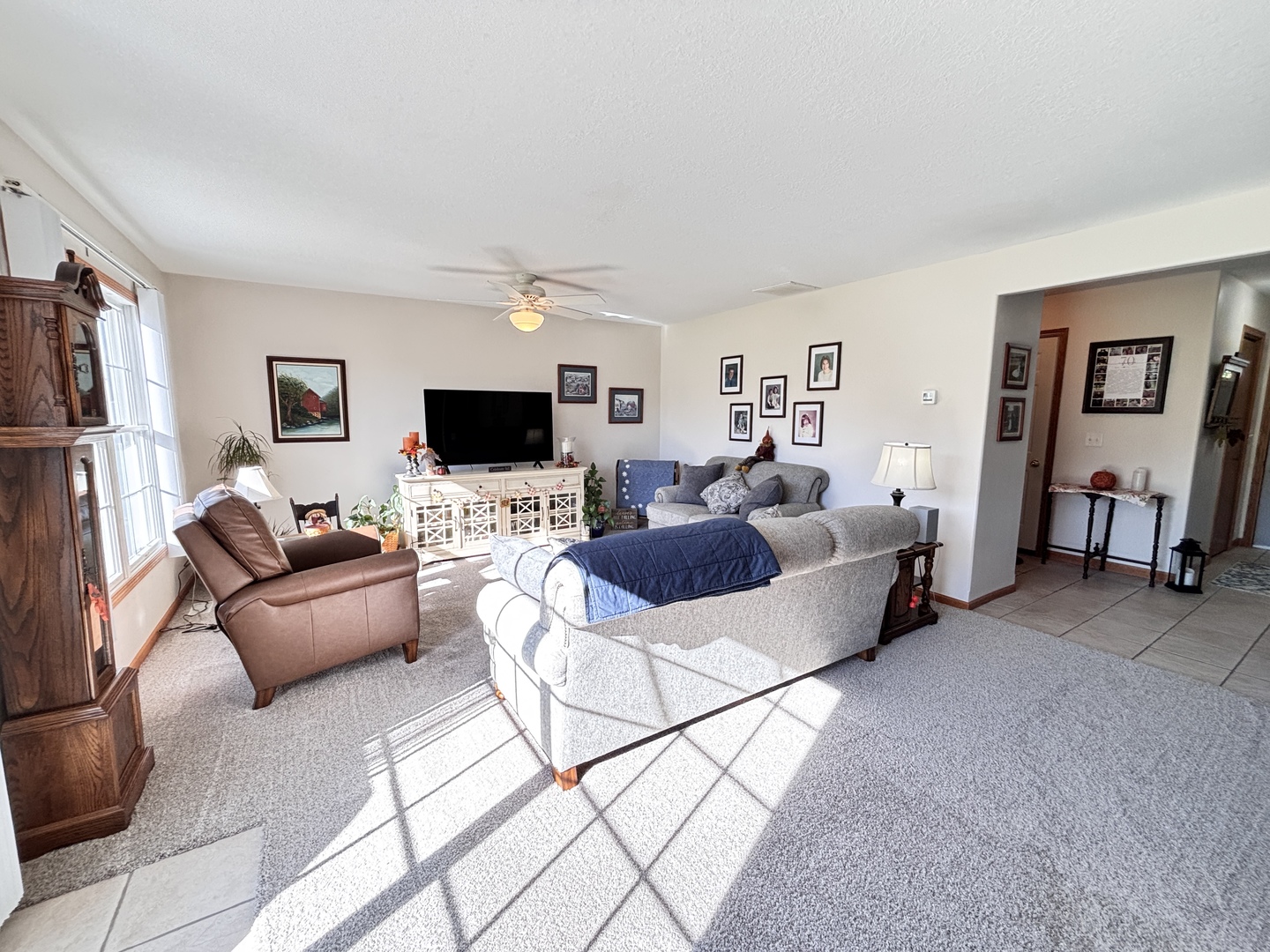 216 S Mcguire Drive, Manteno, IL 60950