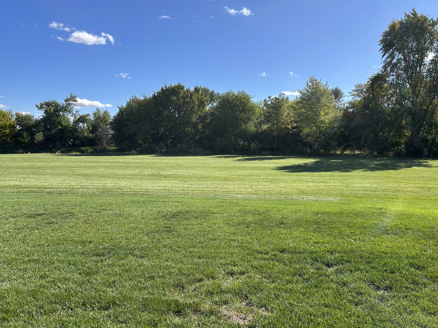 216 S Mcguire Drive, Manteno, IL 60950