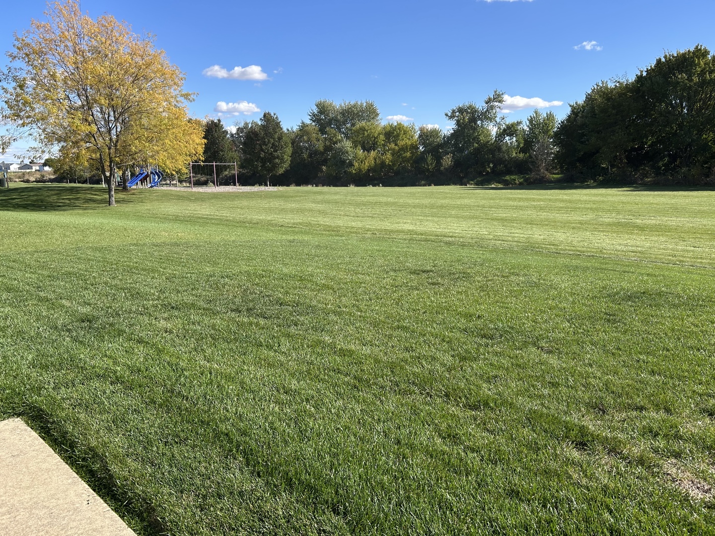 216 S Mcguire Drive, Manteno, IL 60950