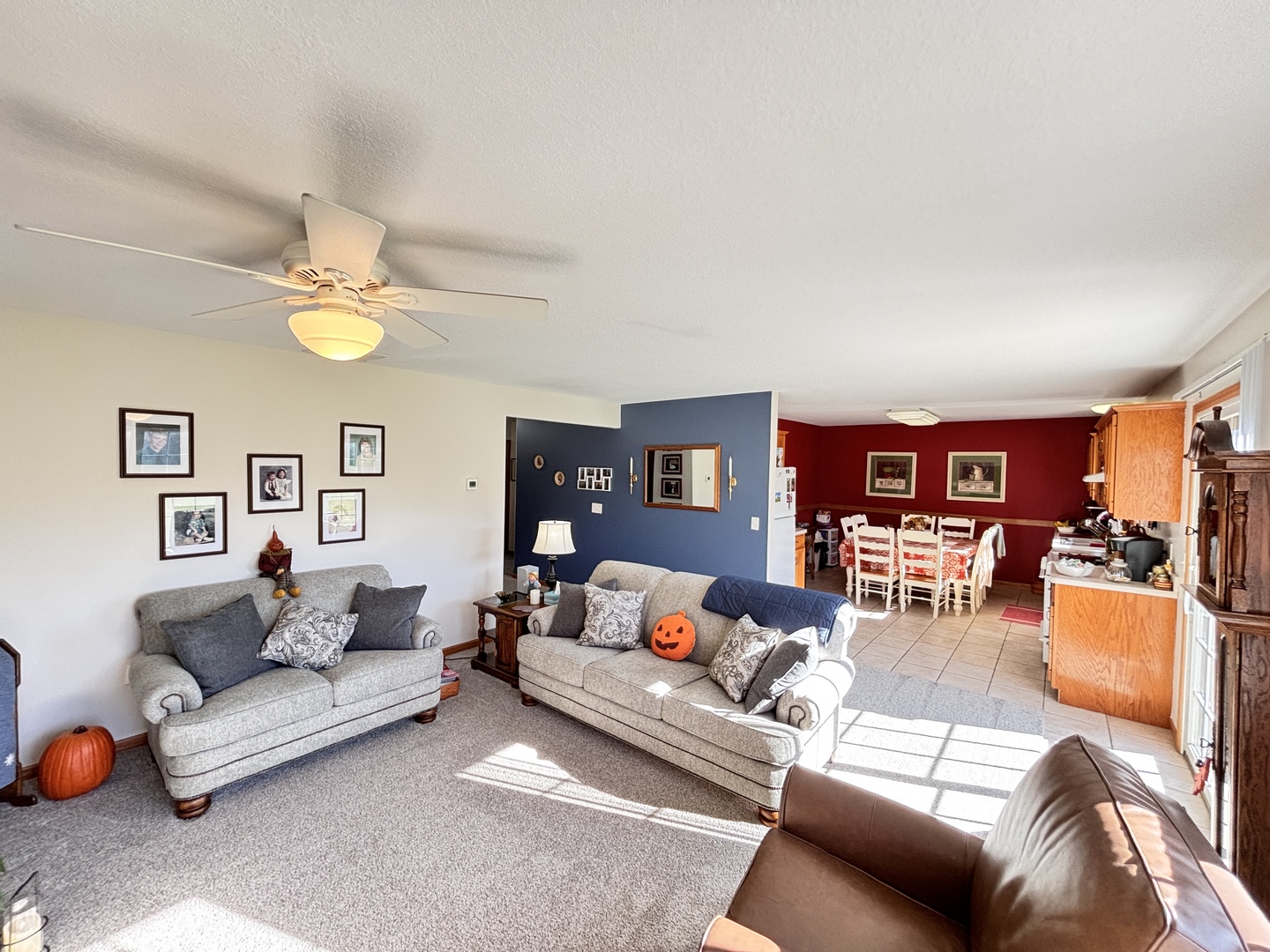 216 S Mcguire Drive, Manteno, IL 60950