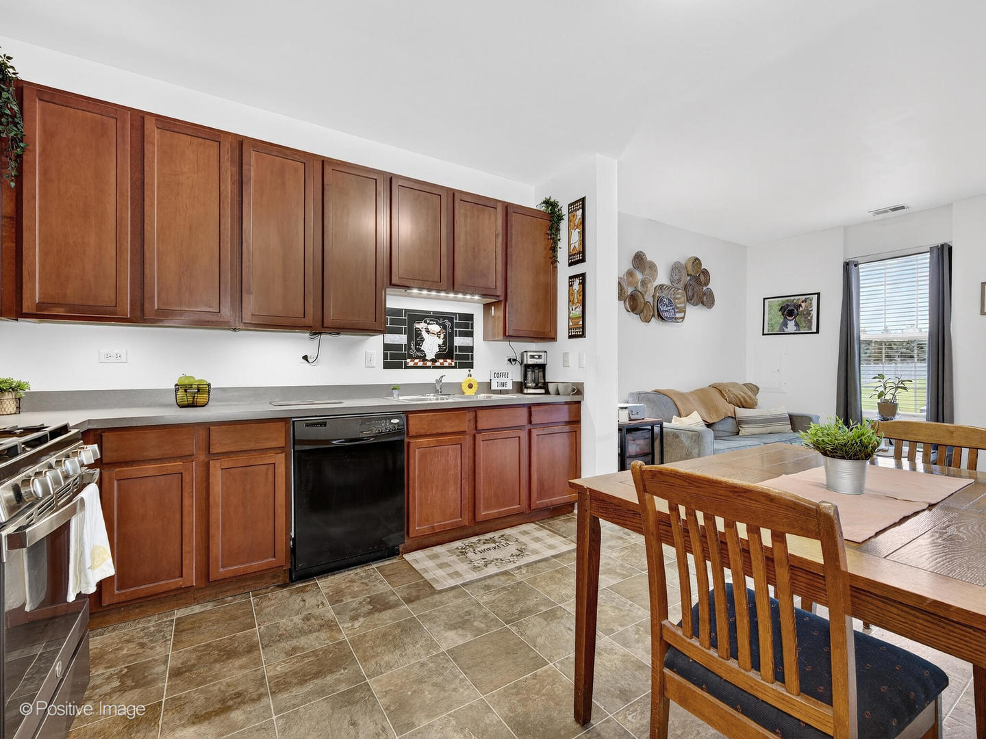 4533 Garritano Street #D, Yorkville, IL 60560