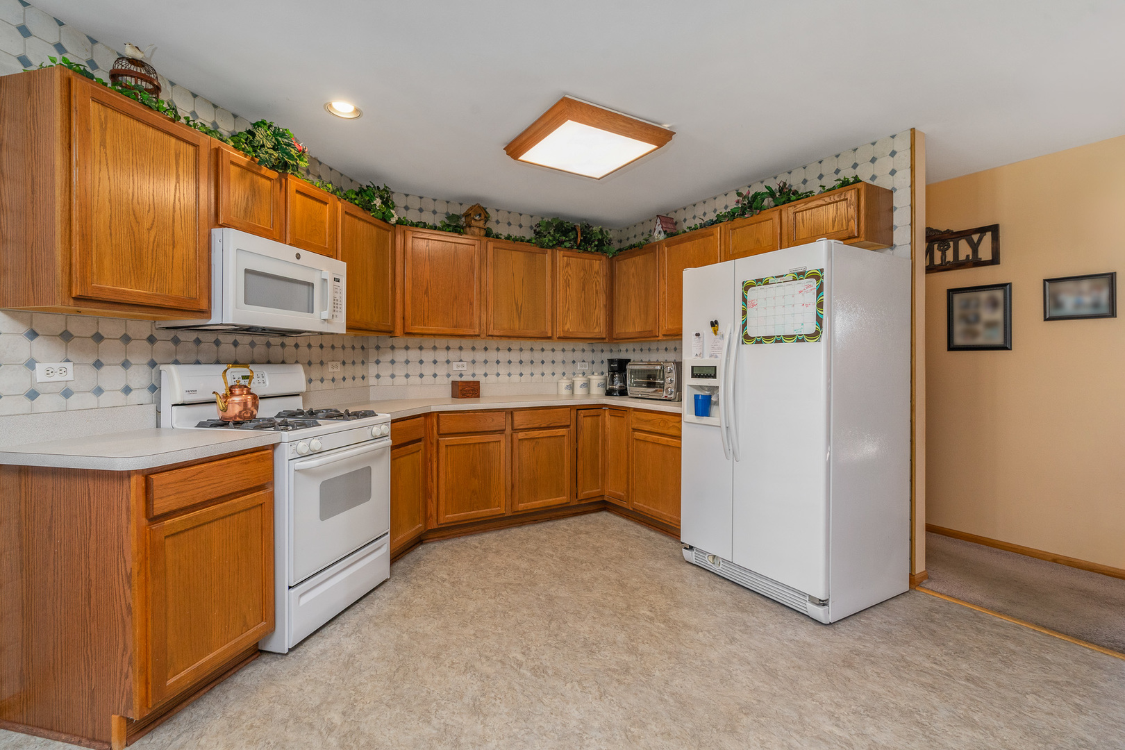 11628 Hidden Valley Cove, Orland Park, IL 60467