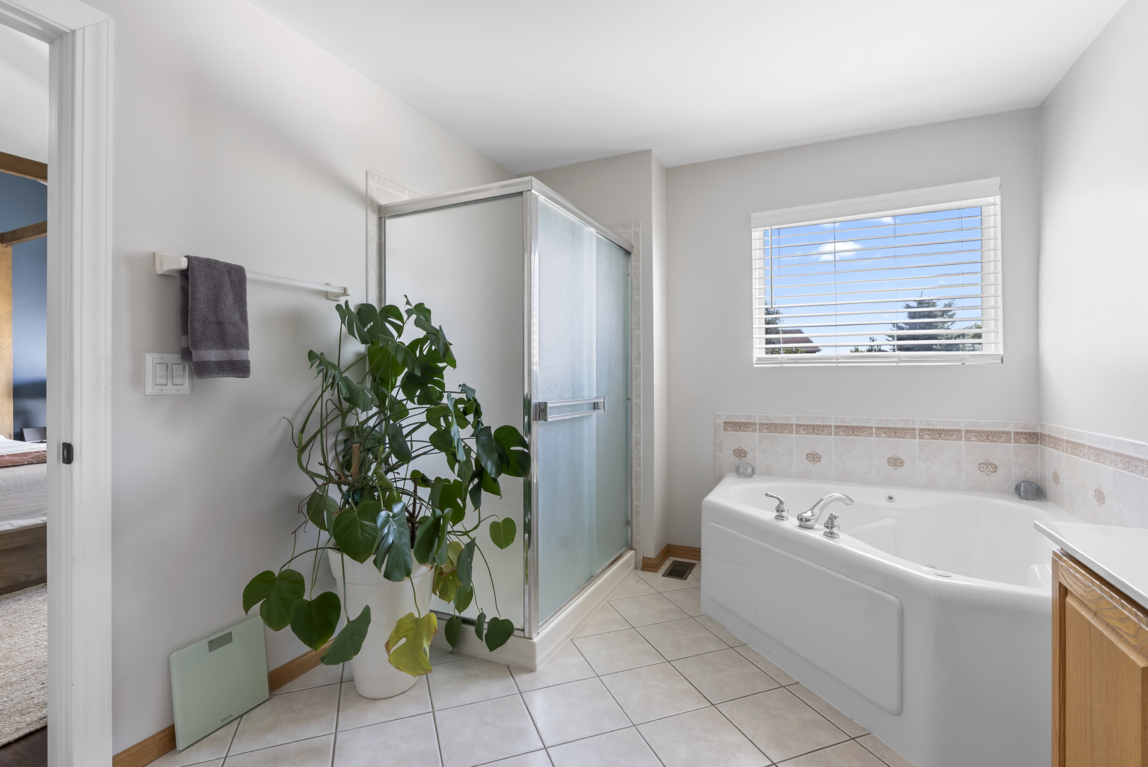 2302 Covington Court, Plainfield, IL 60586