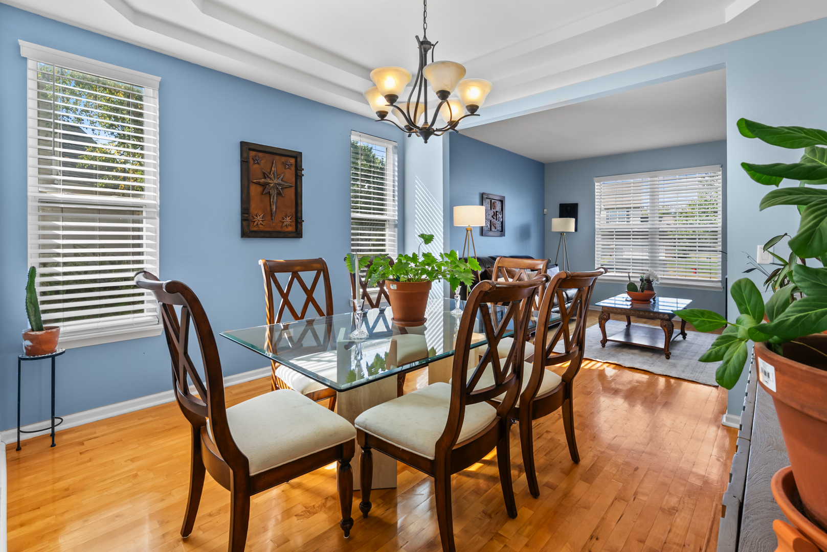 2302 Covington Court, Plainfield, IL 60586