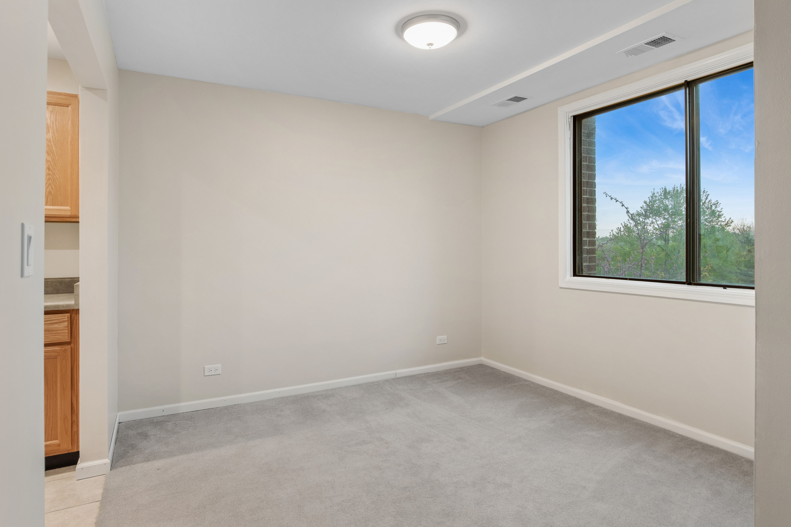 460 Raintree Court #2N, Glen Ellyn, IL 60137