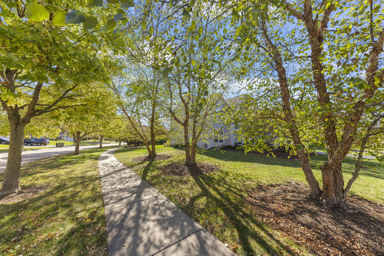 1 Firethorn Court, Bolingbrook, IL 60490