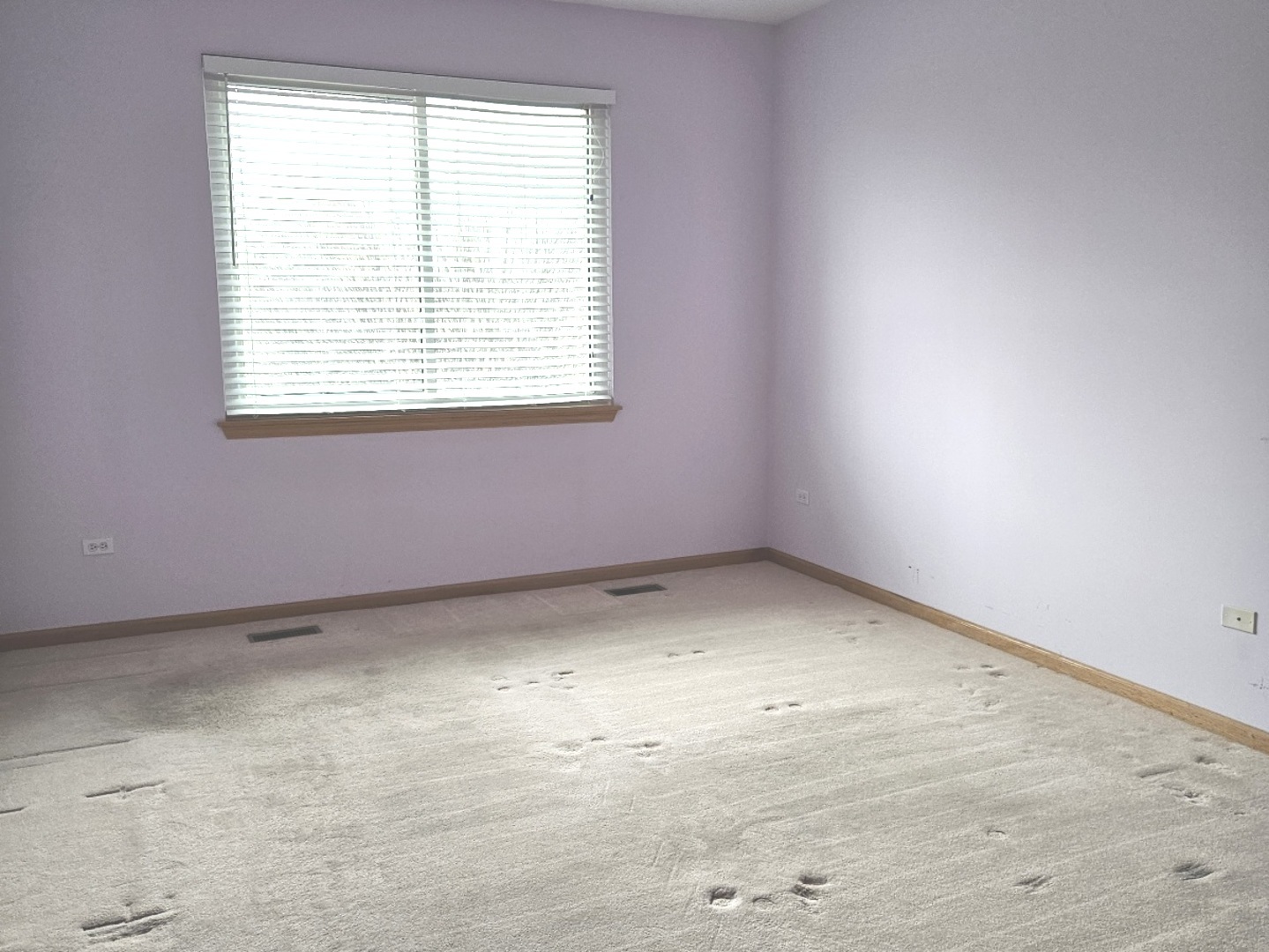 21320 W Douglas Lane, Plainfield, IL 60544