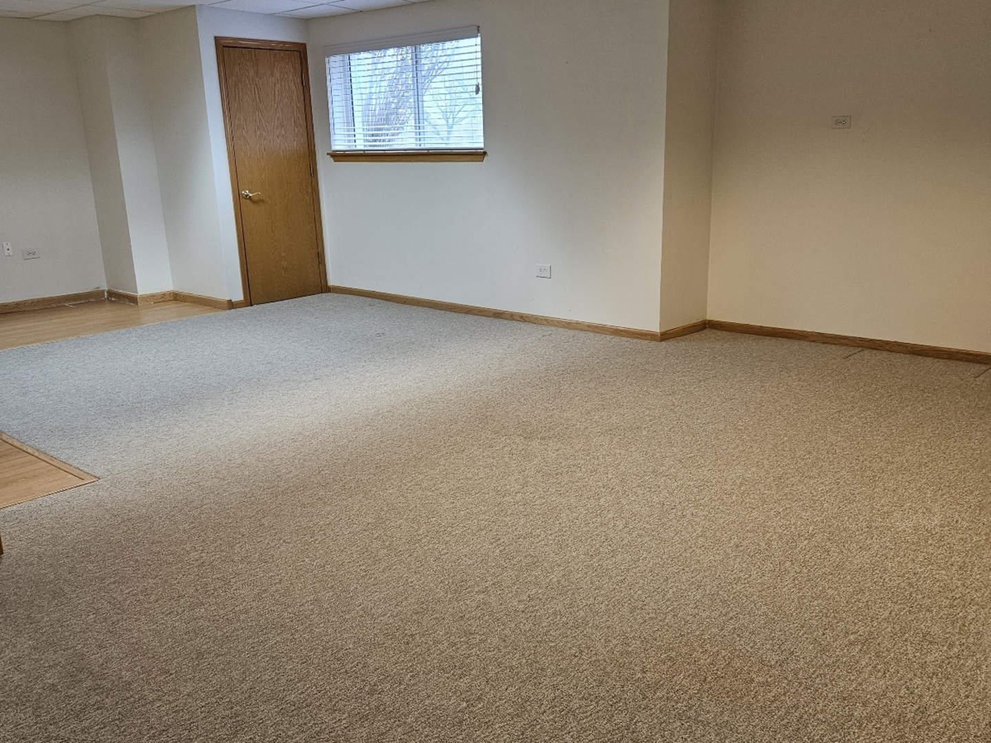 21320 W Douglas Lane, Plainfield, IL 60544