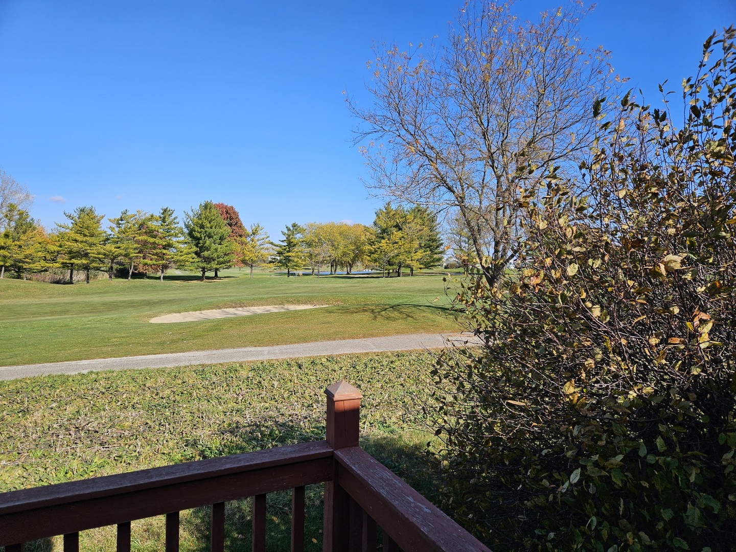 21320 W Douglas Lane, Plainfield, IL 60544