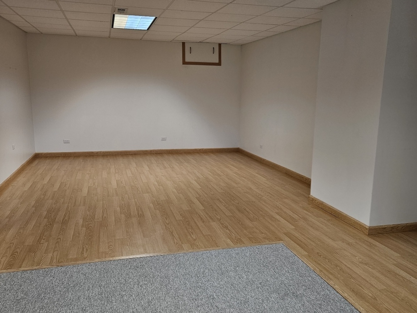 21320 W Douglas Lane, Plainfield, IL 60544