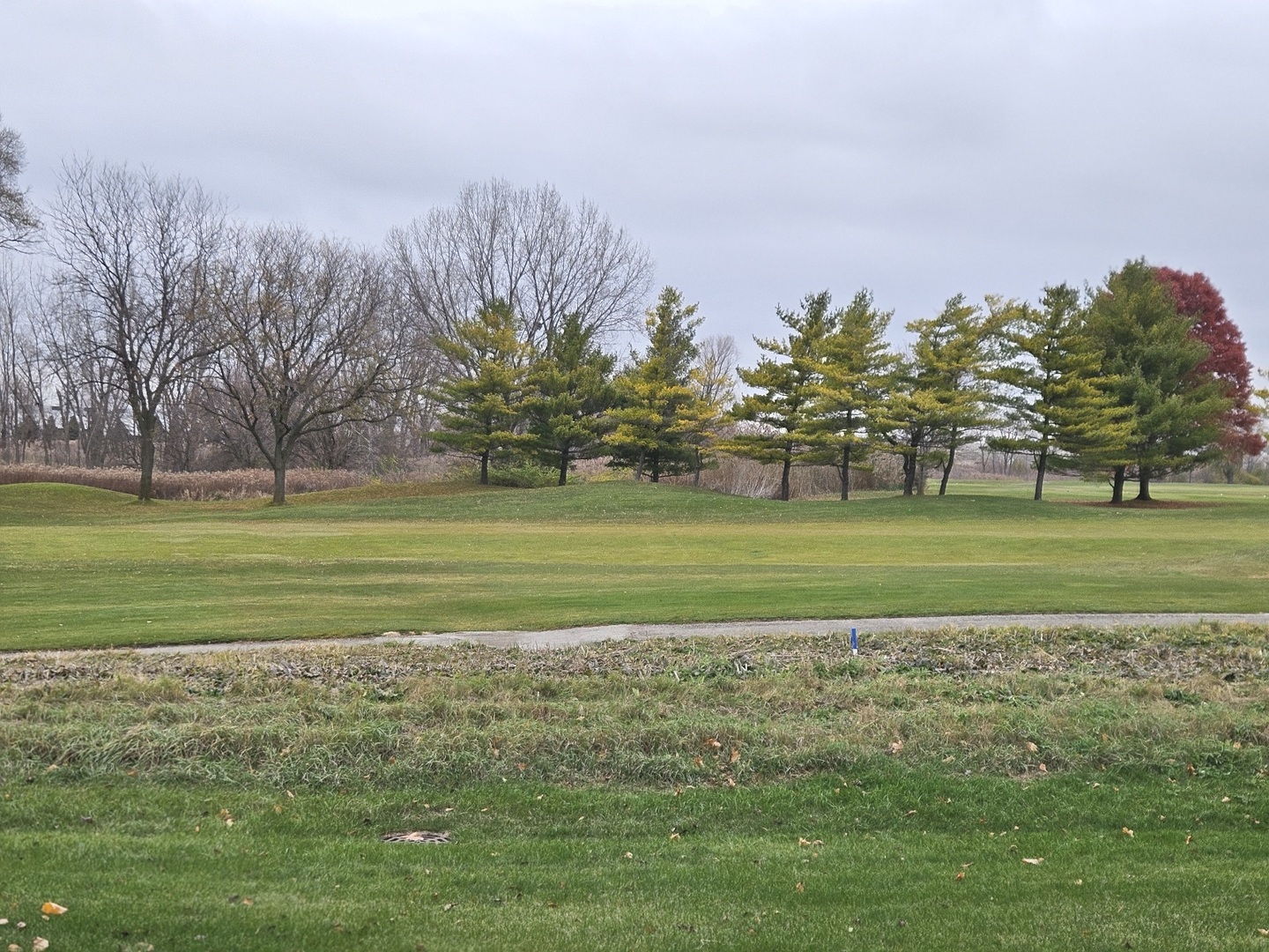 21320 W Douglas Lane, Plainfield, IL 60544