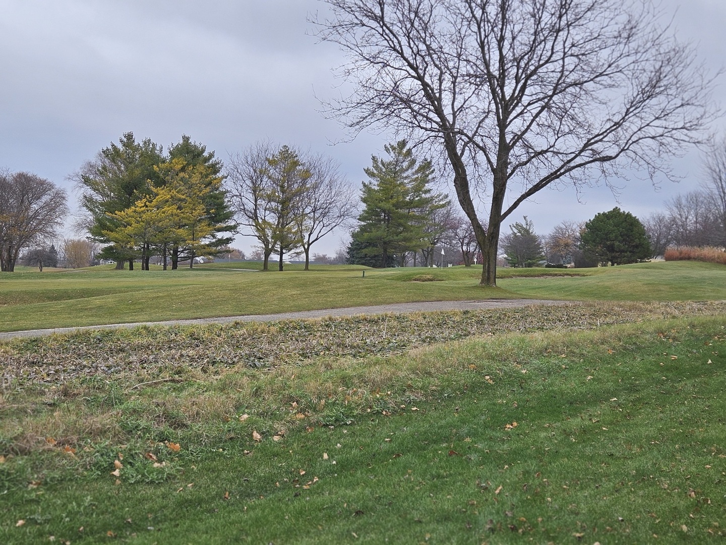 21320 W Douglas Lane, Plainfield, IL 60544