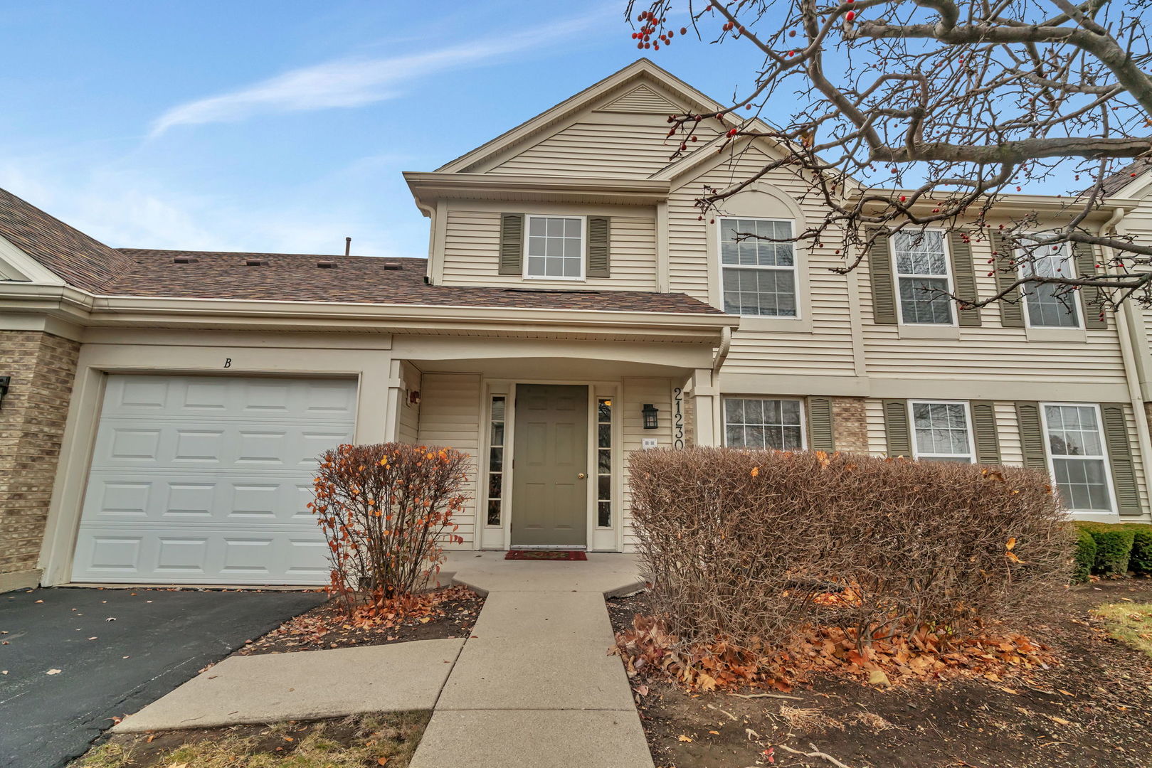 21230 W Walnut Drive #A, Plainfield, IL 60544