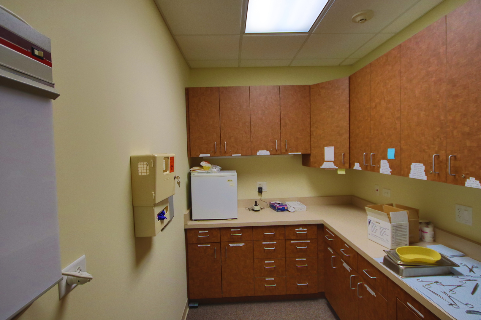 10743 165th Street, Orland Park, IL 60467