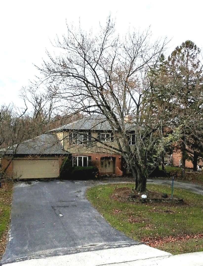 24656 S Willow Brook Trail, Crete, IL 60417