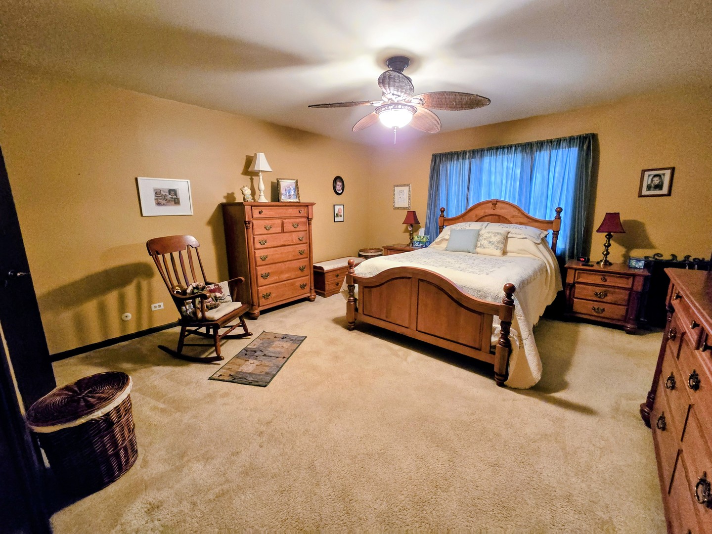 24656 S Willow Brook Trail, Crete, IL 60417