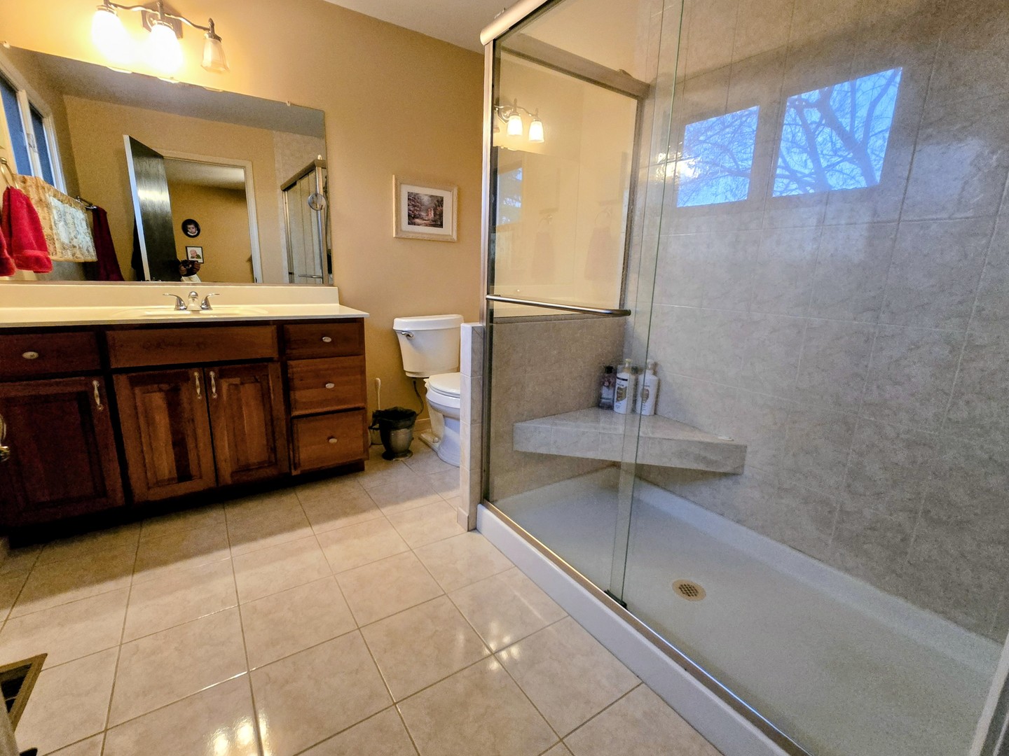 24656 S Willow Brook Trail, Crete, IL 60417