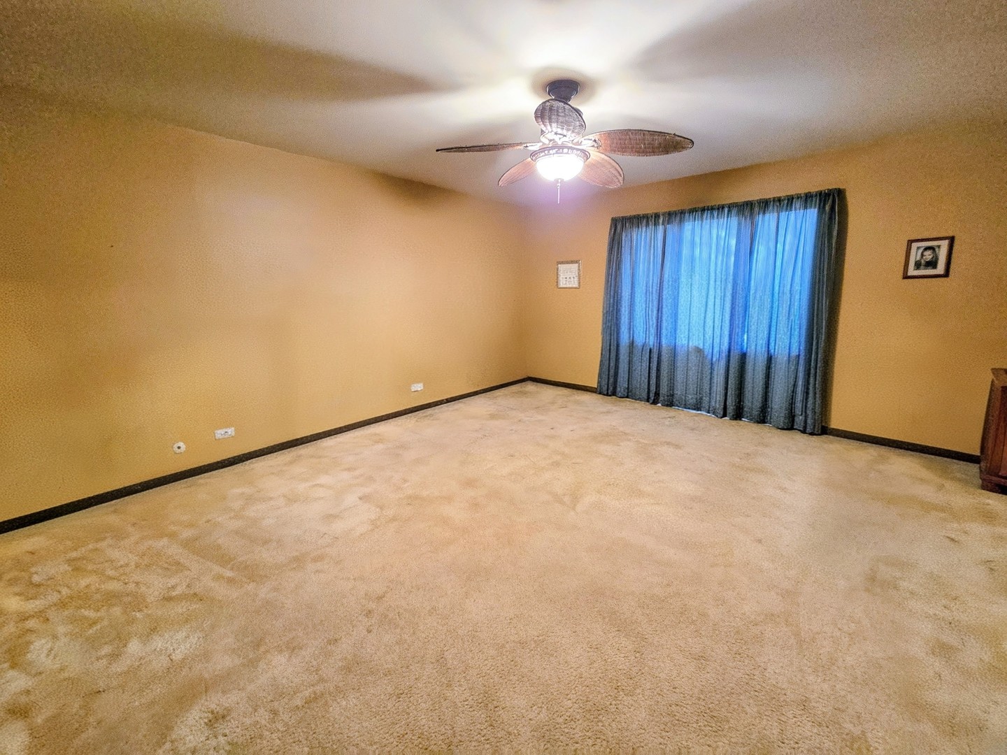 24656 S Willow Brook Trail, Crete, IL 60417