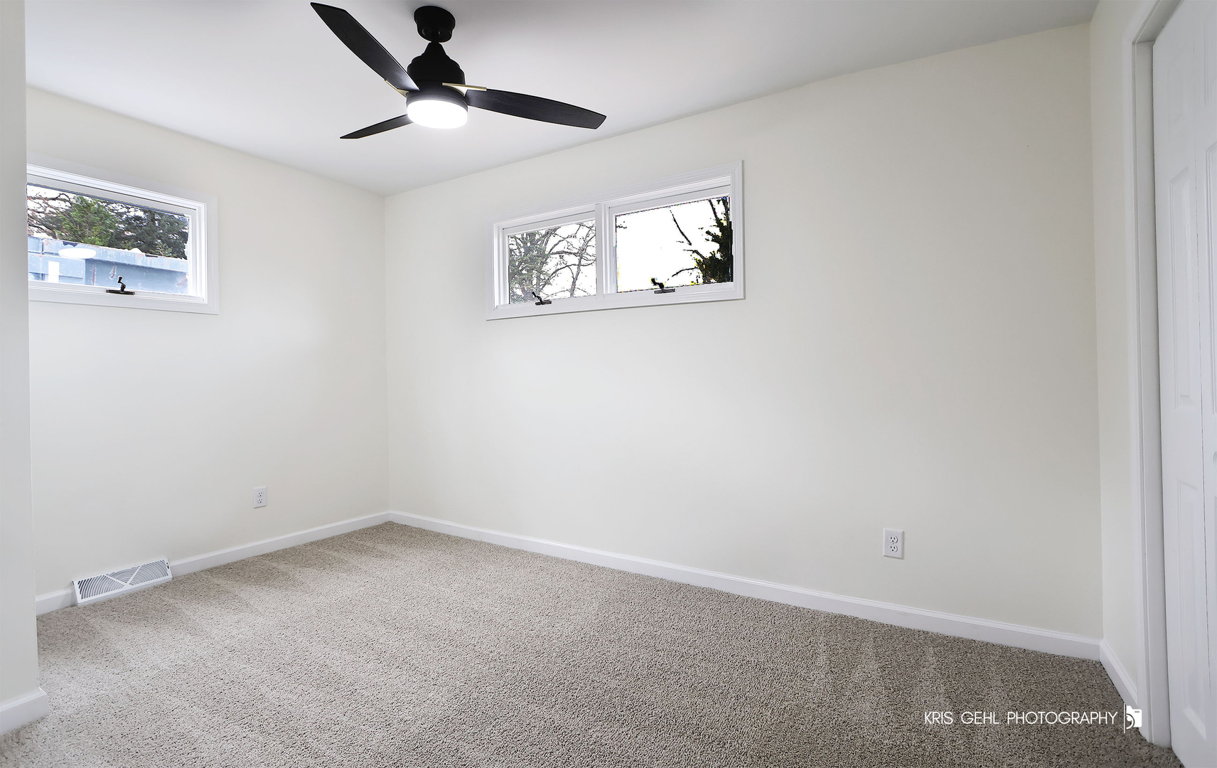 18653 W Willow Point Drive, Grayslake, IL 60030