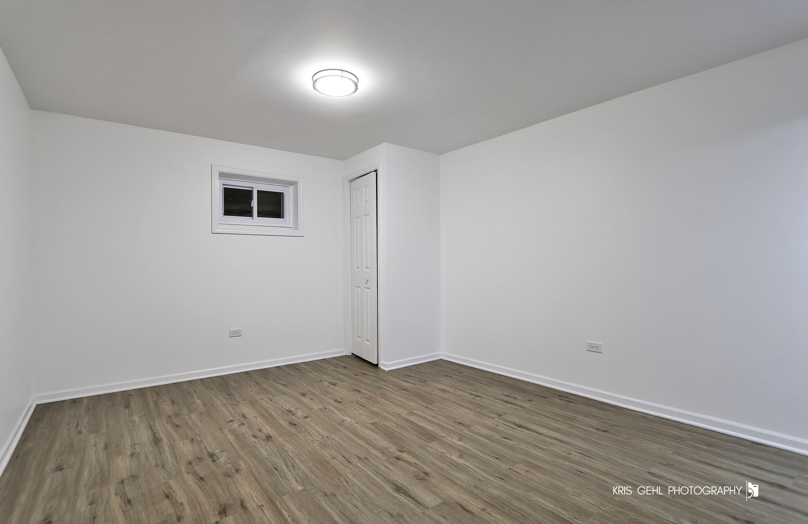 18653 W Willow Point Drive, Grayslake, IL 60030