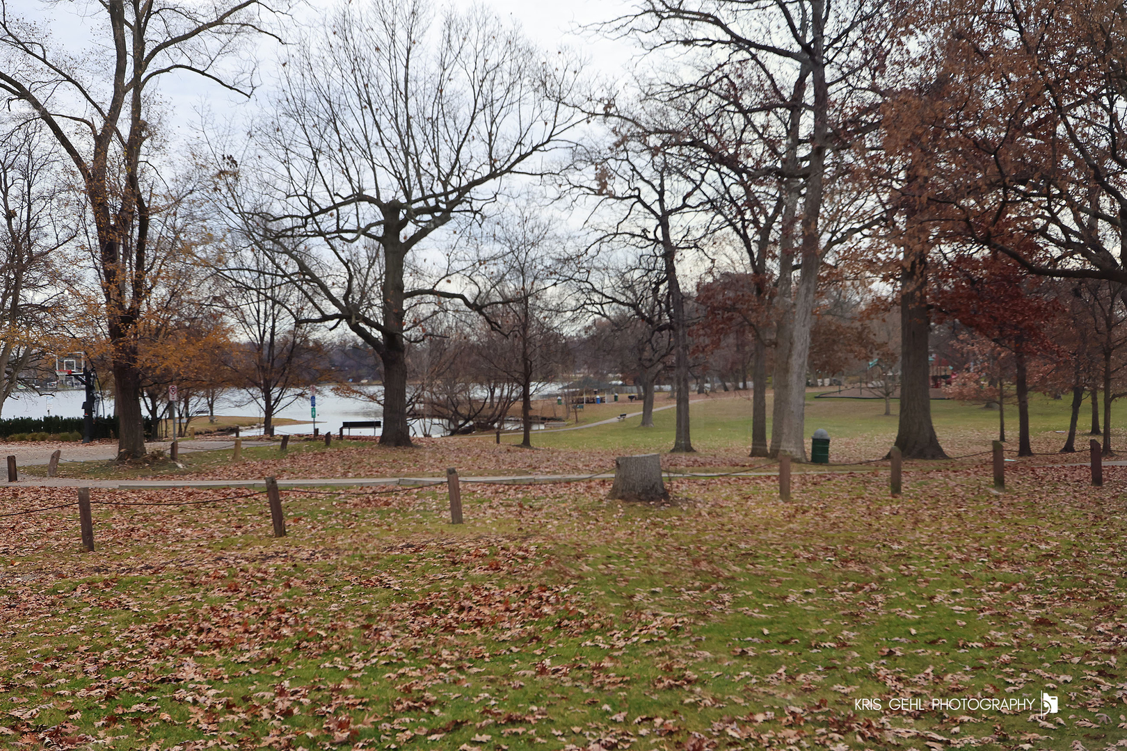 18653 W Willow Point Drive, Grayslake, IL 60030