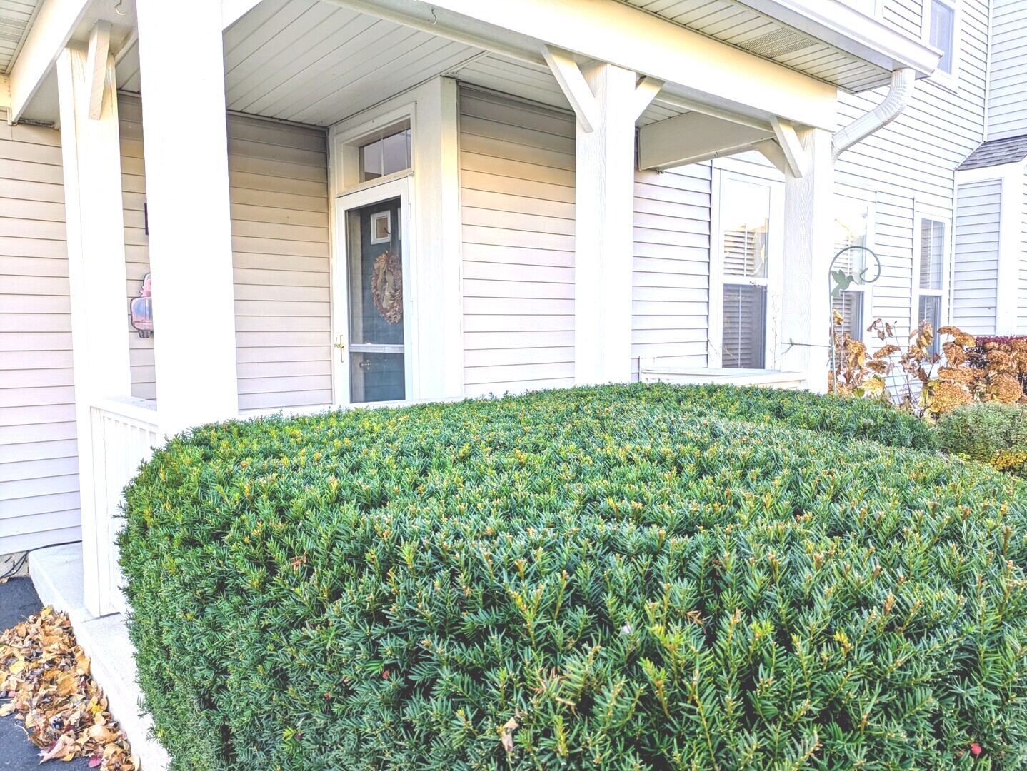 2927 Falling Waters Lane, Lindenhurst, IL 60046