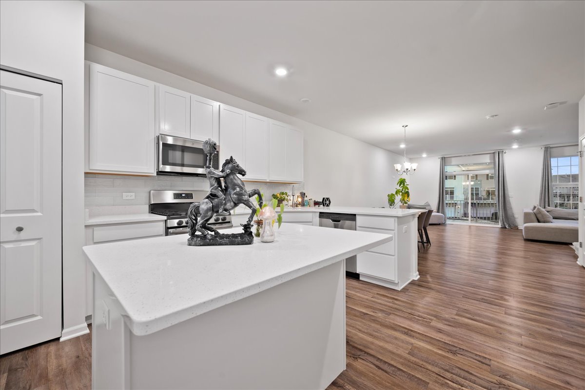 706 Springside Court, Oswego, IL 60543