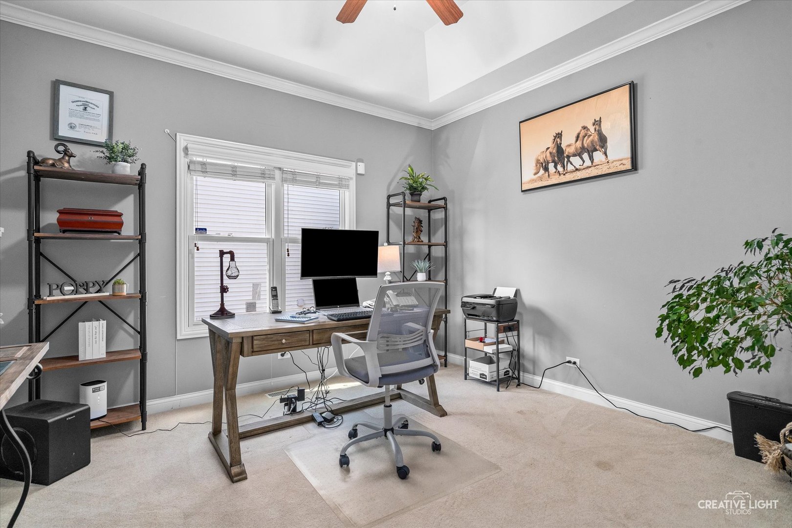 25216 Round Barn Road, Plainfield, IL 60585