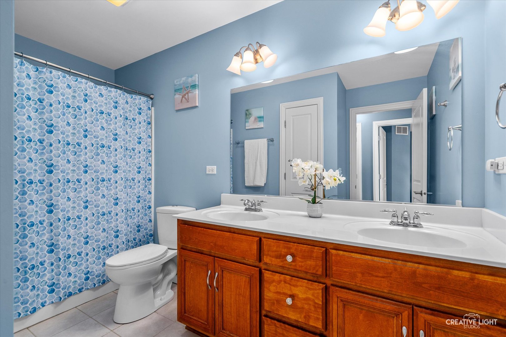 25216 Round Barn Road, Plainfield, IL 60585