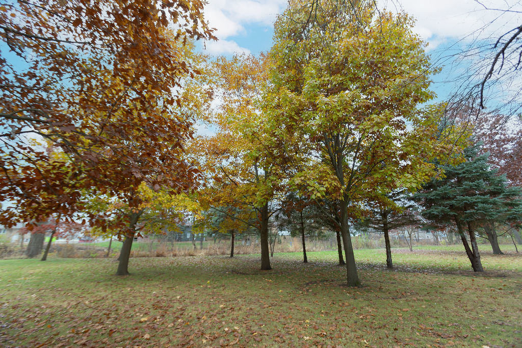 305 N Green Street, Roanoke, IL 61561