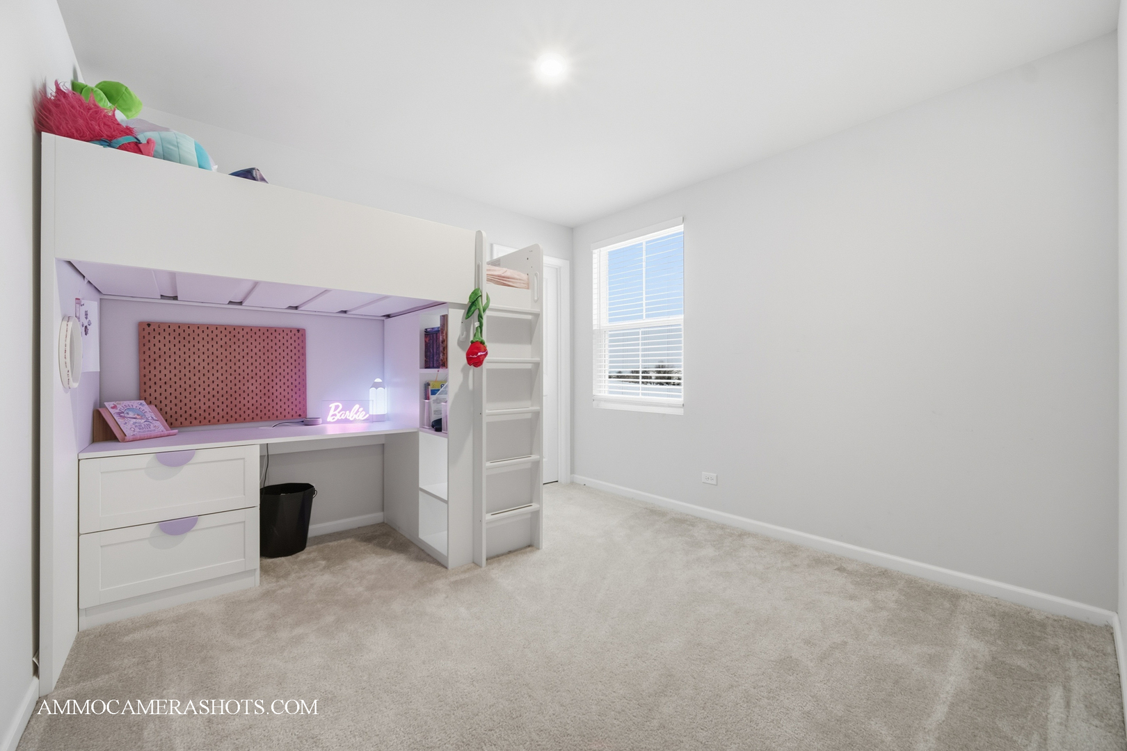 7906 Deer Crossing Drive, Plainfield, IL 60586