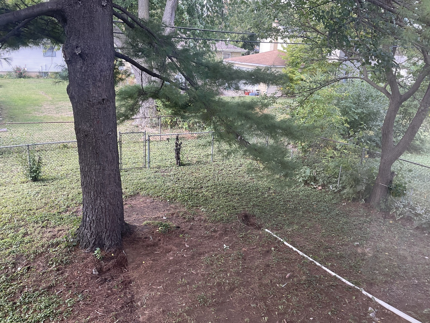 566 N Howard Avenue, Elmhurst, IL 60126