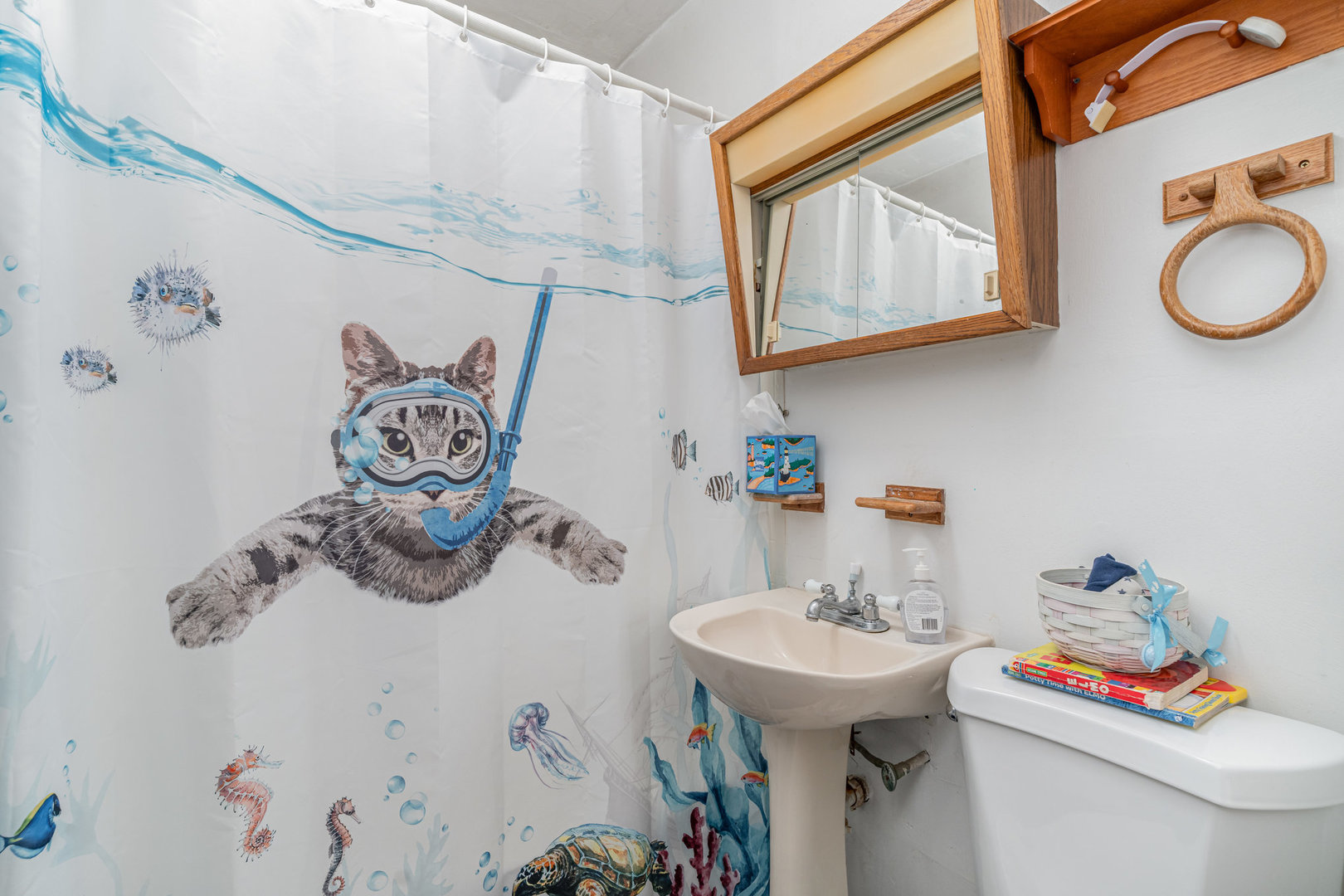 11700 S Springfield Avenue, Alsip, IL 60803