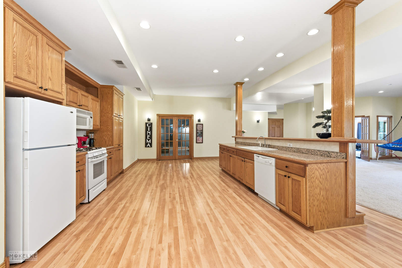 13220 Fox Lane, Lemont, IL 60439