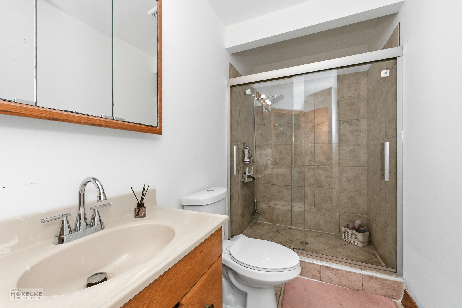 13220 Fox Lane, Lemont, IL 60439