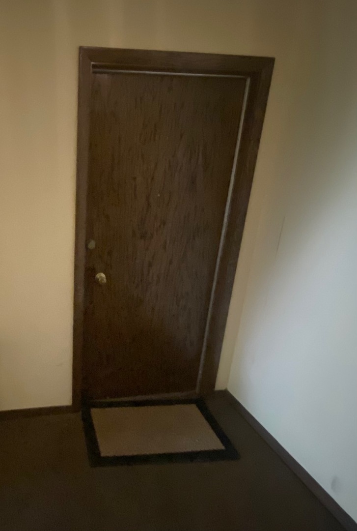 22509 Pleasant Drive #1, Richton Park, IL 60471