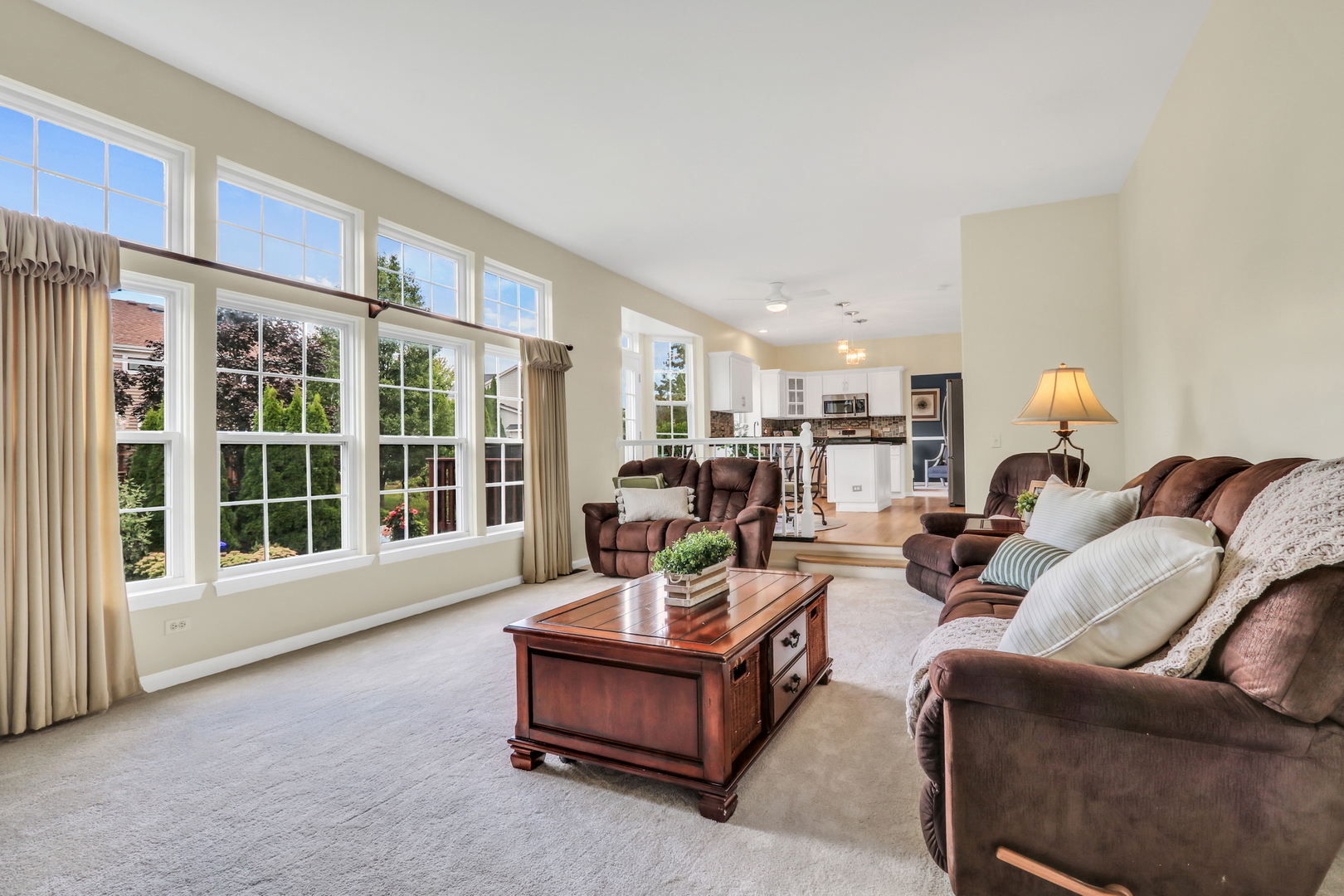 18587 W Meander Drive, Grayslake, IL 60030