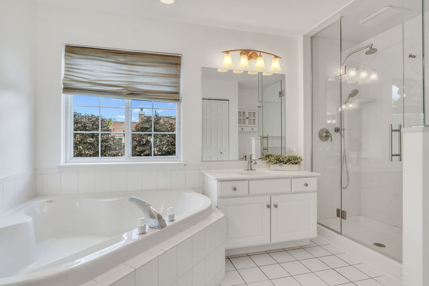 18587 W Meander Drive, Grayslake, IL 60030