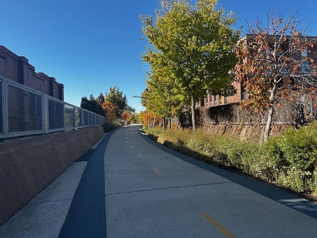 1729 N Fairfield Avenue #2, Chicago, IL 60647