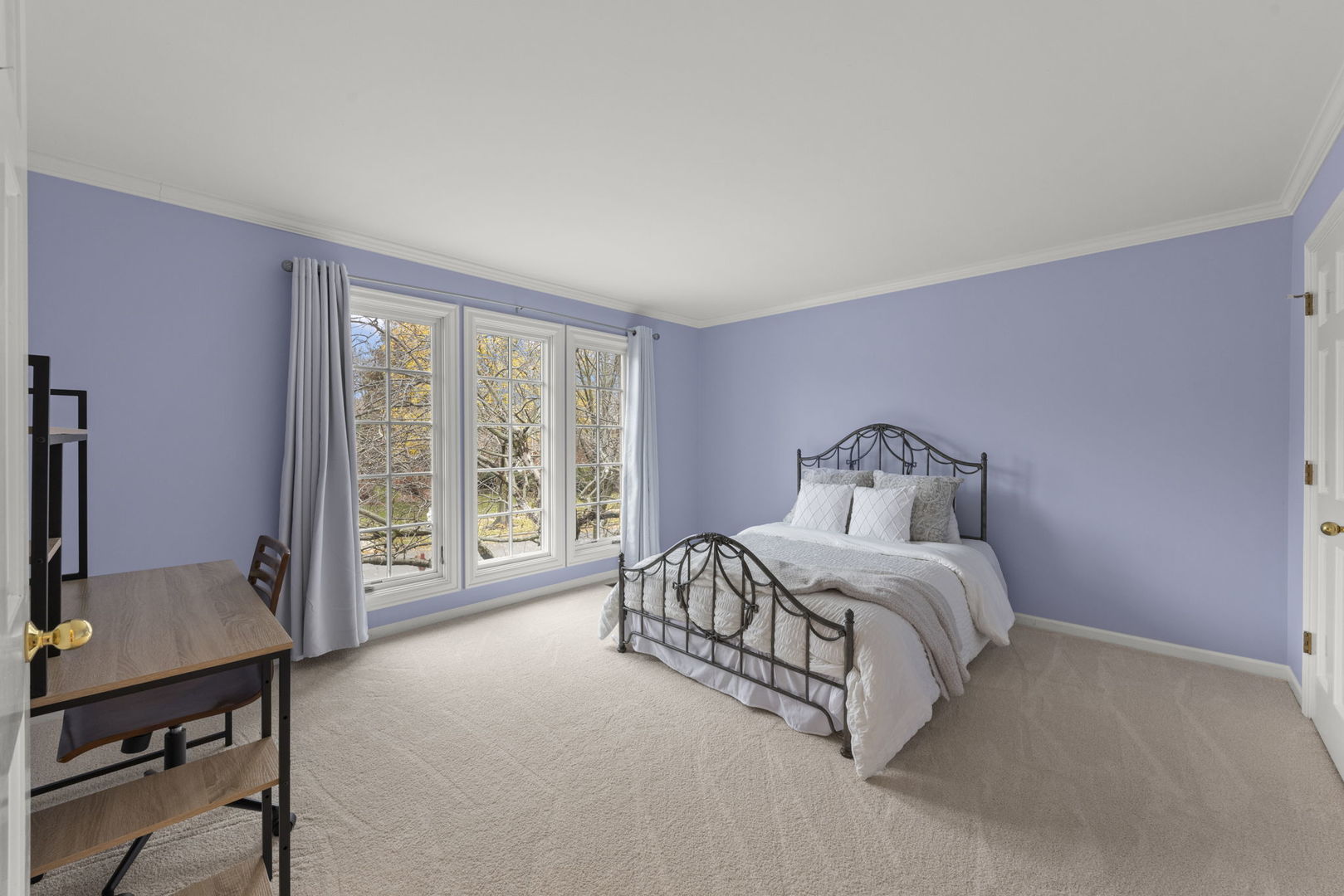 6441 Bobby Jones Lane, Woodridge, IL 60517