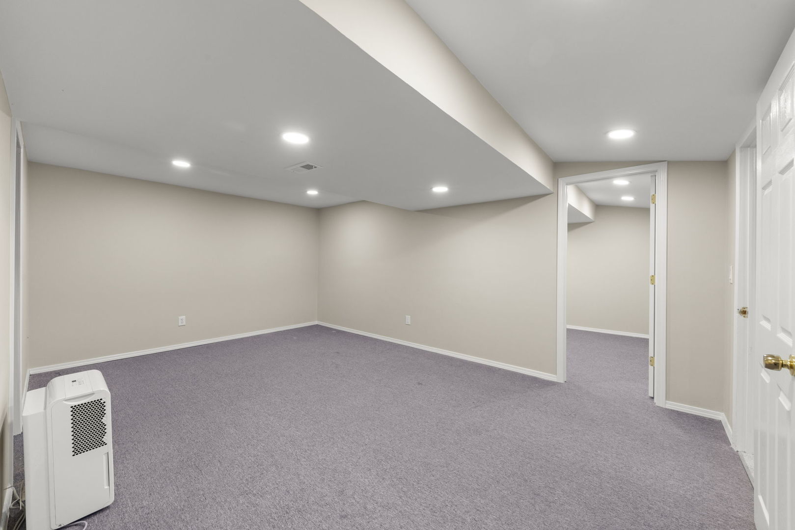 6441 Bobby Jones Lane, Woodridge, IL 60517