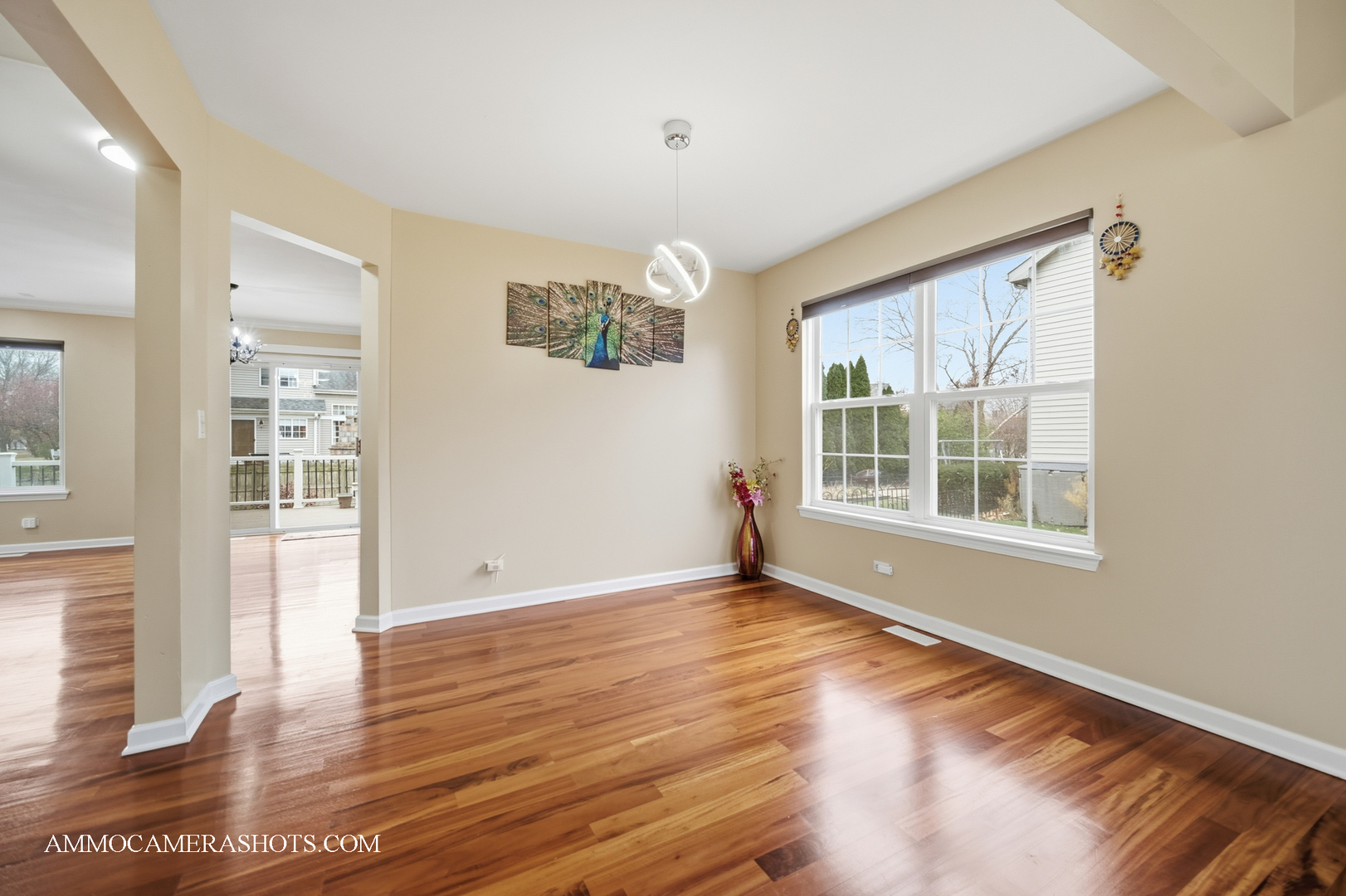 3161 Hopewell Drive, Aurora, IL 60502