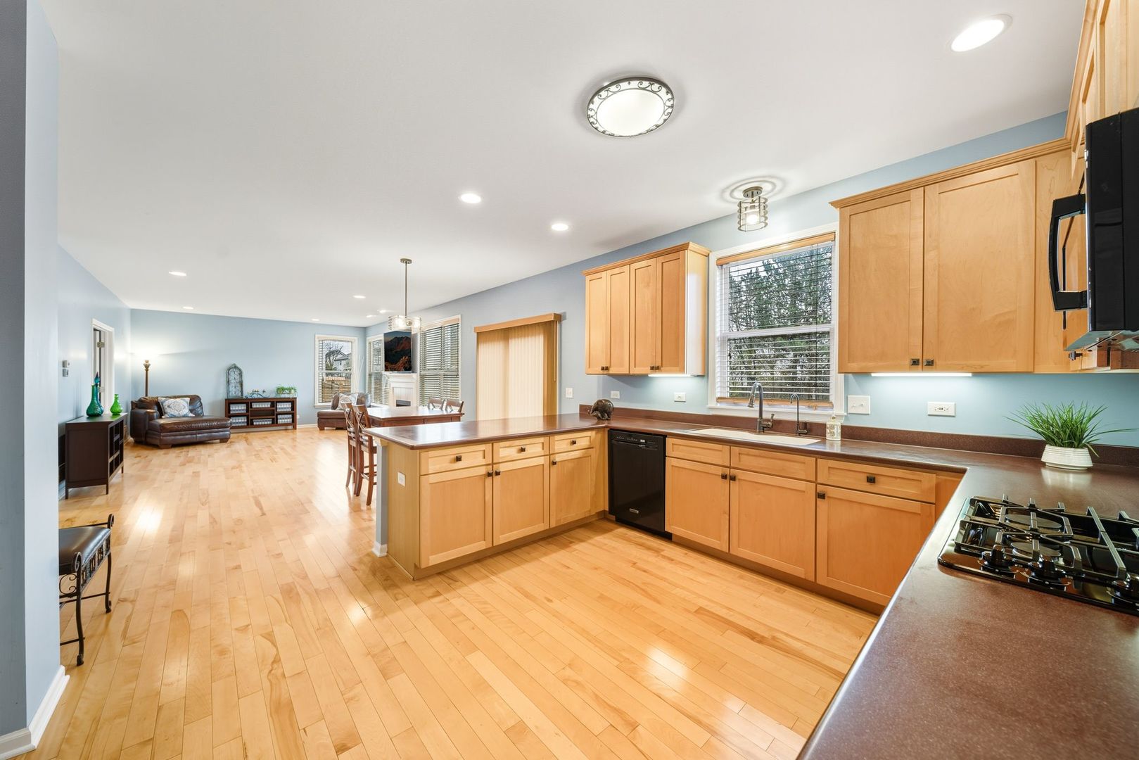 601 Lake Cornish Way, Algonquin, IL 60102