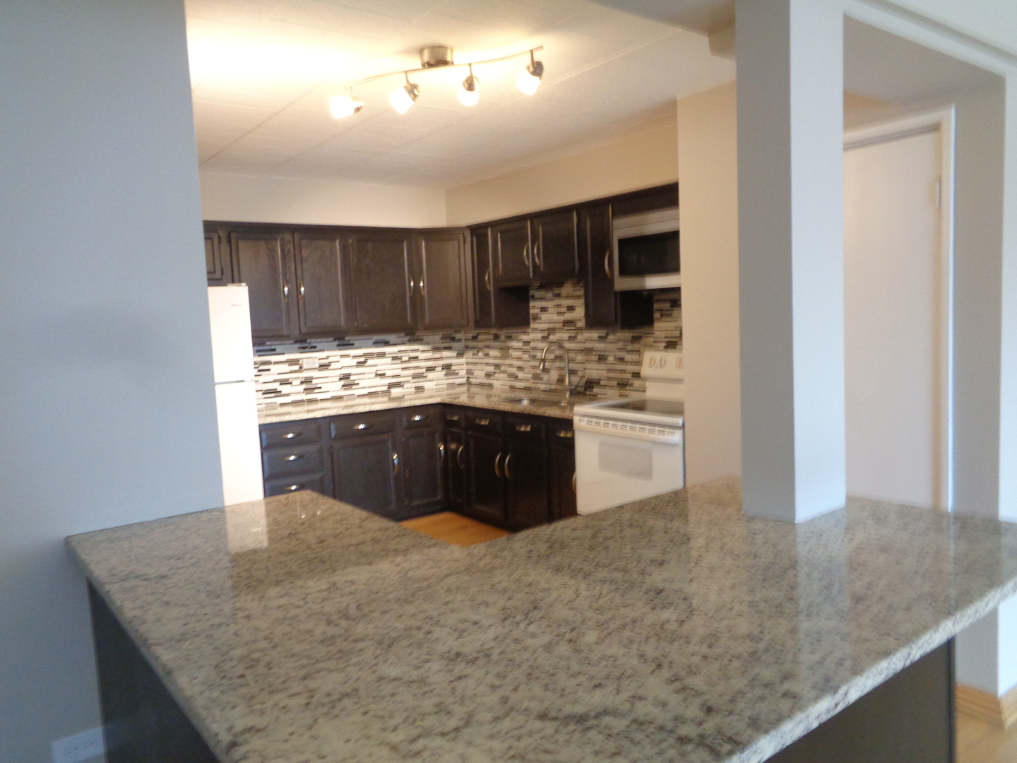 6233 W 94th Street #1SE, Oak Lawn, IL 60453