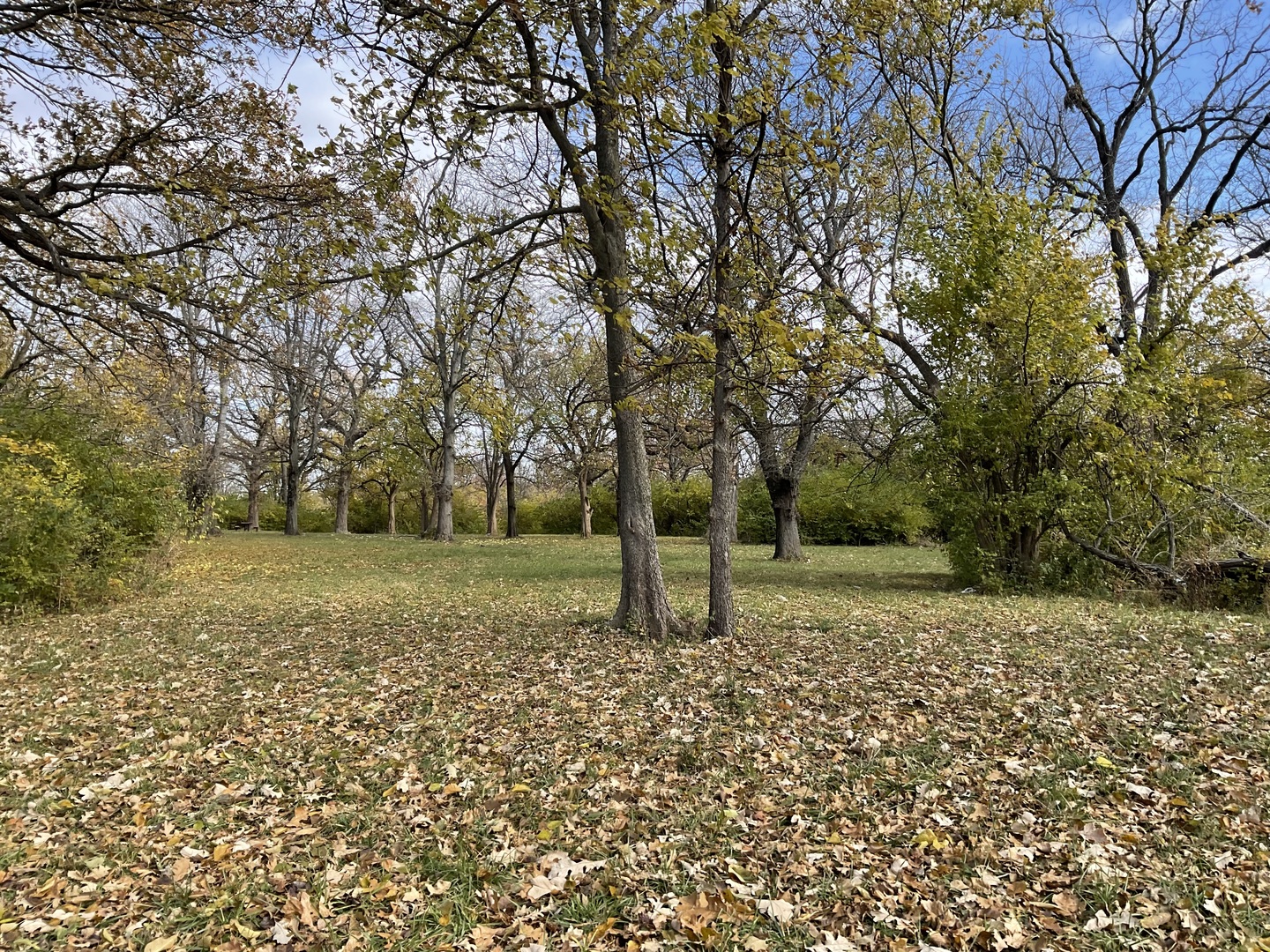 6010-6060 E. Minooka Road, Minooka, IL 60447