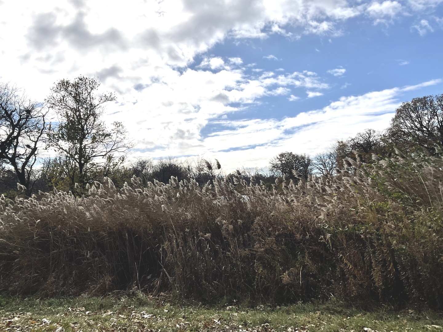 6010-6060 E. Minooka Road, Minooka, IL 60447